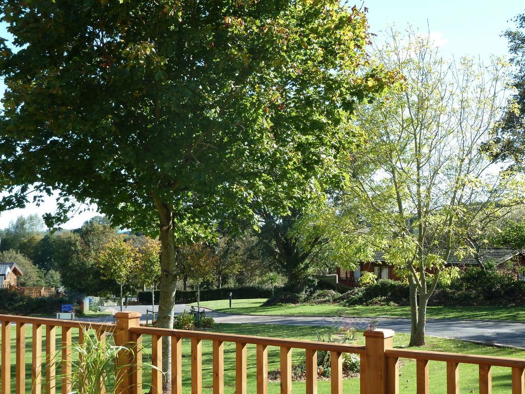 Devon Hills Hotel Пейнтън Стая снимка